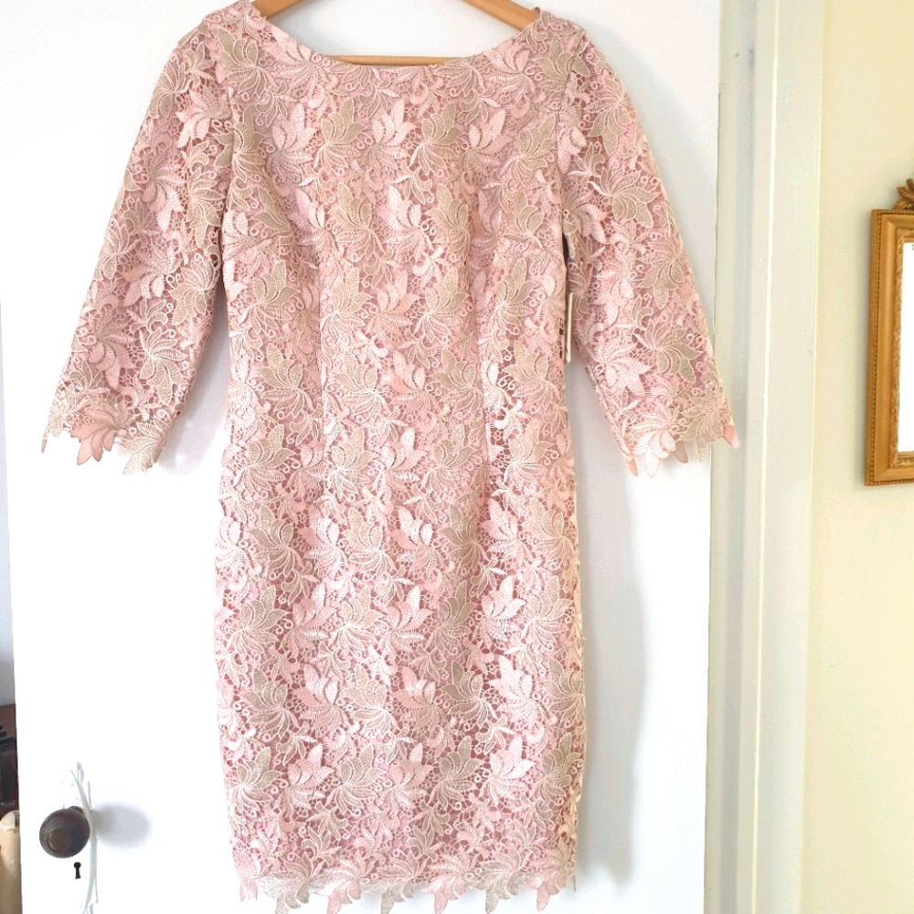 NWT Powder Pink Lace Dress by Eliza J. Pink